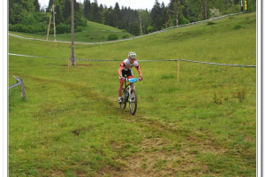 XCIL_31