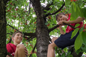 KD-Sloga-1902-VN-Sandija-Papez-Gabrje-2024-17 KD-Sloga-1902-VN-Sandija-Papez-Gabrje-2024-17